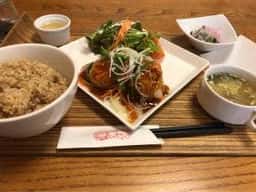 太陽とオリーブ