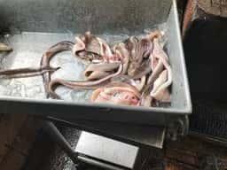魚増水産 淡路島