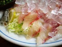 清竜・鯉料理