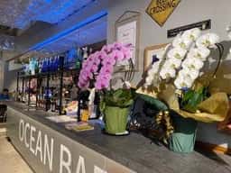 OCEAN BAR