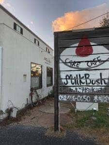 ミルクブッシュ