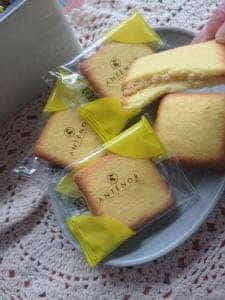 アンテノール 天満屋岡山店