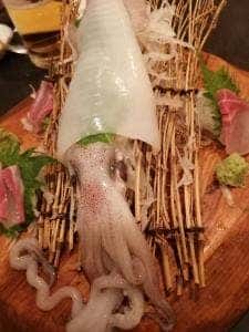 竹茂