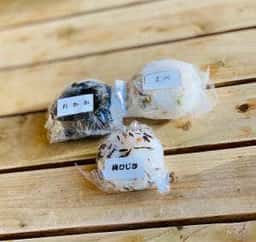 道の駅おにぎり屋 かっぽうぎ