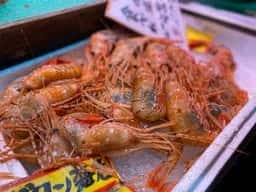 蟹と甘えびの店みなみ