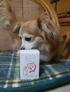 まめや金澤萬久 小田急百貨店 新宿店