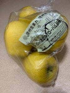 信州フルーツランド 信州中野インター店