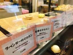 ANGO安居