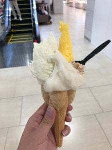 やんばるジェラート サンエー浦添西海岸パルコシティ店