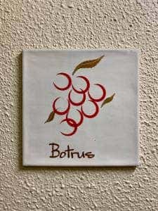 Botrus