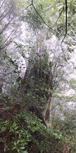 縄文の宿 まんてん レストラン