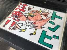 龍燈の松