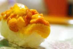 まっとう福喜寿司 松任本店