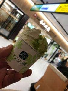 アグリエの森 mitte