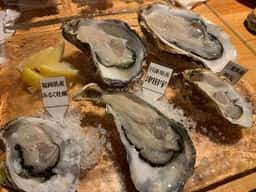 oyster&wine kitchen K 東口店