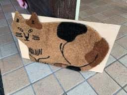 にゃんこあん