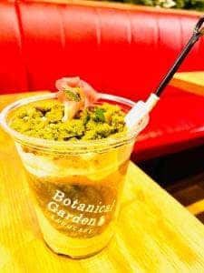 ボタニカルガーデン サルカフェ