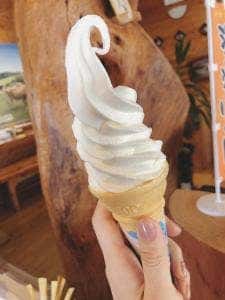 ジャージー牧場 カップル