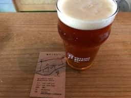 ボイジャーブルーイング