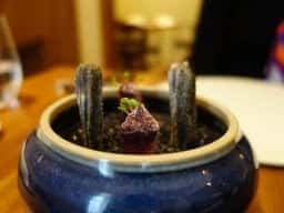 ル スプートニク