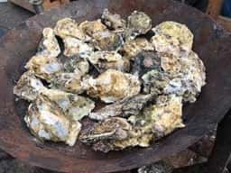 山安水産 パールロード店