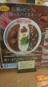 カレーハウス スパイシーアポロ店