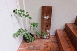 エレファント ファクトリー コーヒー