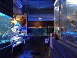 BLUE FISH AQUARIUM
