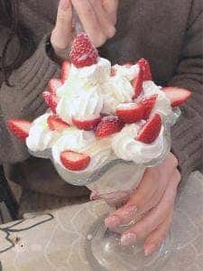 木村家