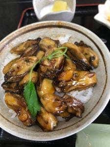 魚波