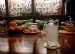 BAR OWL