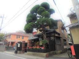 松籟～まつのおと～