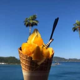 道の駅 なんごう レストラン