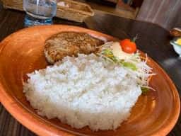 びっくりドンキー 藤野店