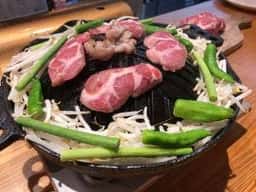 ひつじ研究所
