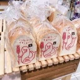 LITTLE MERMAID 伊勢崎平和町店