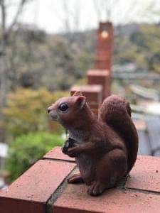 カフェテラス 樹ガーデン