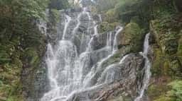 白糸の滝ふれあいの里 四季の茶屋