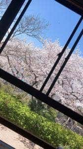 鵜来見亭