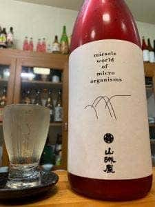 楽酒楽食 かぶと