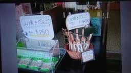 きれん製菓 秋芳洞入口店