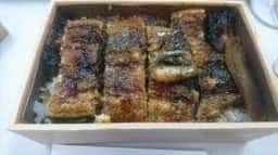 天然青うなぎ うじょう亭