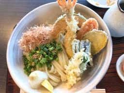自家製うどん ごころ