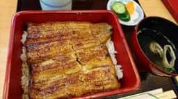 うなぎ 蒲焼 千寿