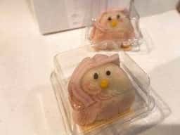 丸屋本店 イオン新潟南店