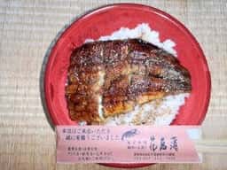 花菖蒲