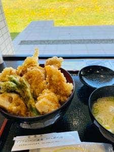 しょさんべつ温泉 ホテル 岬の湯 dish