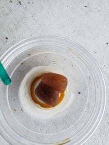 縄文あいす ひとは館