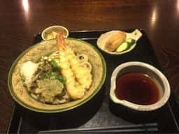 しいの木