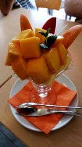 アオイ農園 ぶどうの木